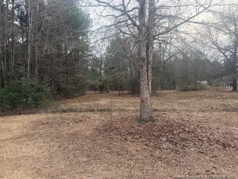 95 Eric Lane Autryville NC 28318