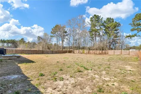 52 Dalmation Lane Parkton NC 28371