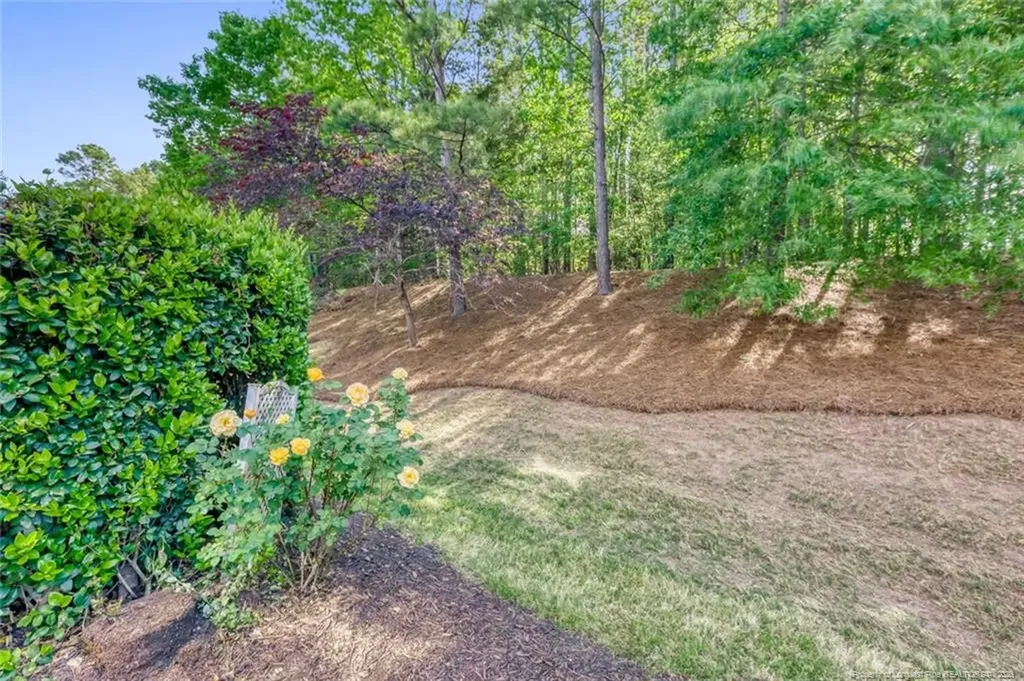 1203 Denmark Manor Drive Morrisville NC 27560