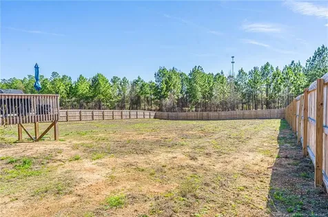 916 Allstar Avenue Cameron NC 28326