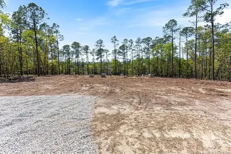 15640 Raccoon Run Wagram NC 28396