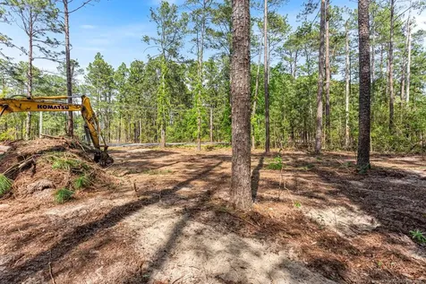26700 Peach Orchard Road Wagram NC 28396