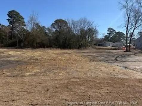 58 Stout Landing Dunn NC 28334