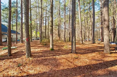 797 Daphne Lane Vass NC 28394