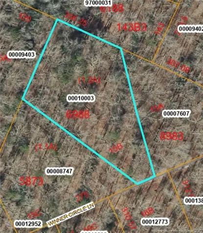 15B Winners Circ Lane Carthage NC 28327