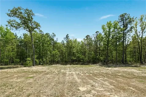 254 Collier Gate Street Linden NC 28356