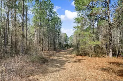 Creeksville Church Road Spring Lake NC 28390