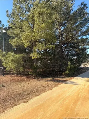 Brownestone Lane Dunn NC 28334