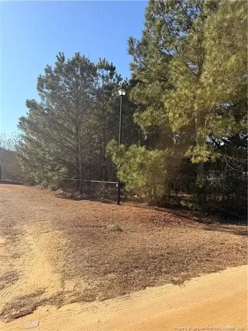Brownestone Lane Dunn NC 28334