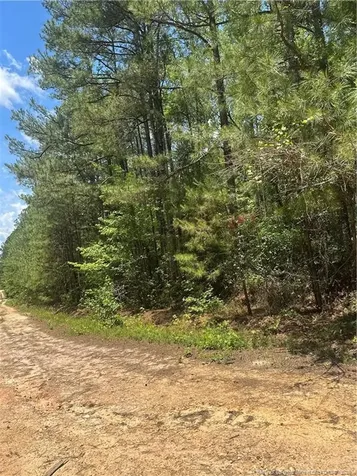 355 Marigold Lane Vass NC 28394