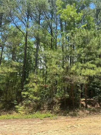 355 Marigold Lane Vass NC 28394