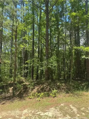 355 Marigold Lane Vass NC 28394