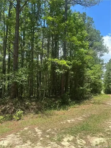 355 Marigold Lane Vass NC 28394