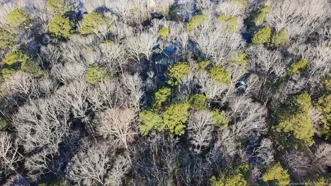 2028 Long Point Trail Sanford NC 27332