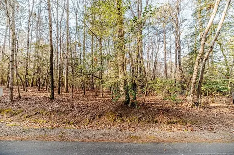 2028 Long Point Trail Sanford NC 27332