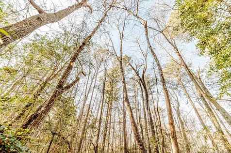 2028 Long Point Trail Sanford NC 27332