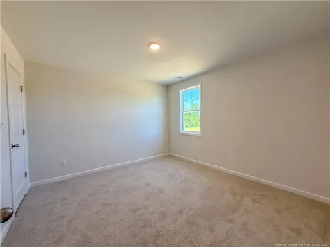 3993 Blue Springs (lot 6) Road Red Springs NC 28377