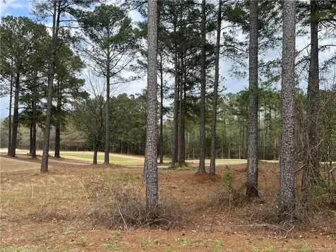 260 Gallery Drive Spring Lake NC 28390