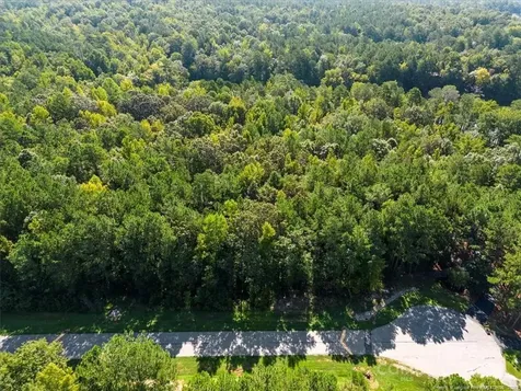 Lot 53 N State Lane Rockingham NC 28379