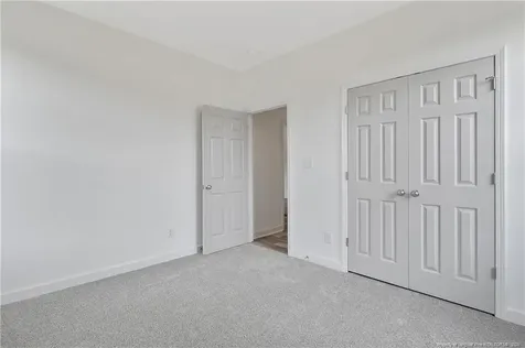 3002 Dinwiddle Drive Wade NC 28395