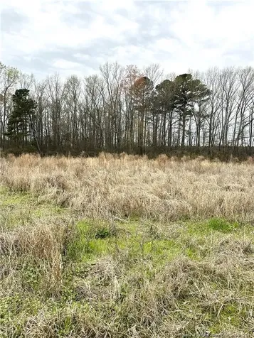 473 Costner Road Lumber Bridge NC 28357