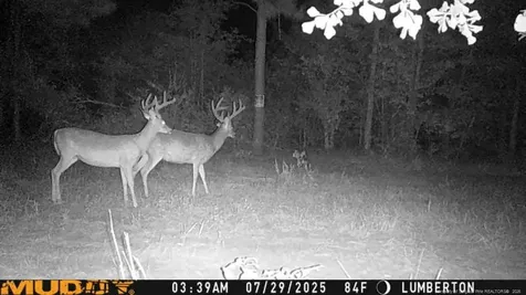 Allen Street Lumberton NC 28359