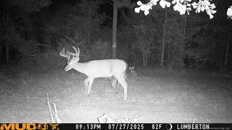 Allen Street Lumberton NC 28359