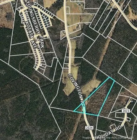 0000 Covington Road Bunnlevel NC 28323