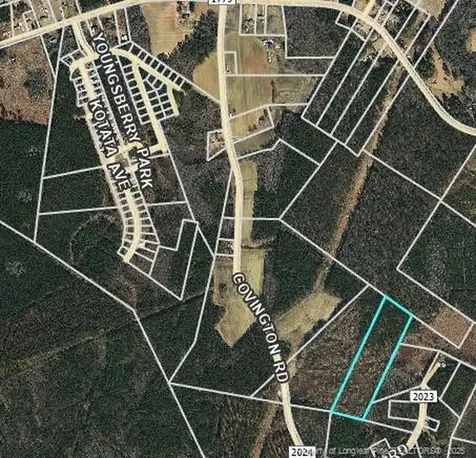 0000 Covington Road Bunnlevel NC 28323