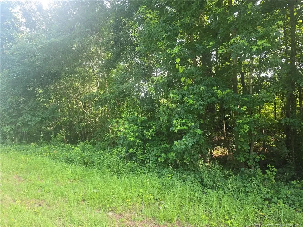 Rockfish Road Raeford NC 28376