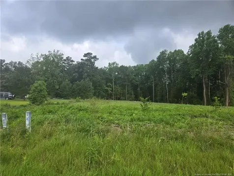 Blue Springs Road Red Springs NC 28377