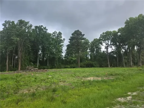 Blue Springs Road Red Springs NC 28377