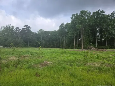 Blue Springs Road Red Springs NC 28377