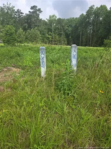 Blue Springs Road Red Springs NC 28377