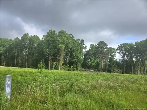 Blue Springs Road Red Springs NC 28377