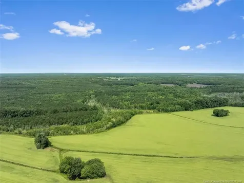 Tbd Rich Walker Road Wade NC 28395