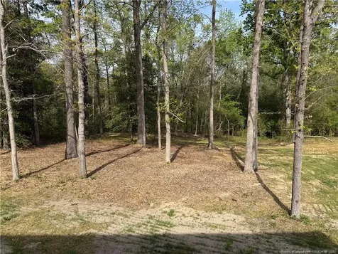 416 Black Duck Lane Lillington NC 27546