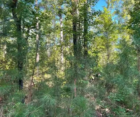 Cypress Church Road Cameron NC 28326