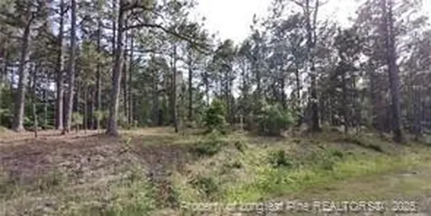 Cypress Church Road Cameron NC 28326