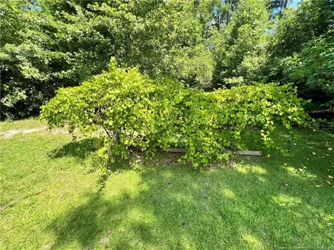 510 Arrington Street Rowland NC 28383