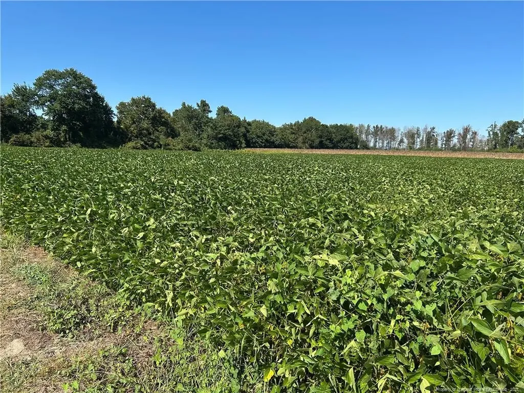 Mcquage Road Raeford NC 28376