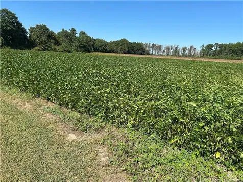 Mcquage Road Raeford NC 28376