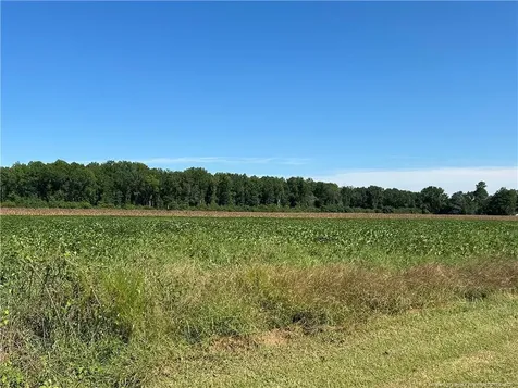 Mcquage Road Raeford NC 28376