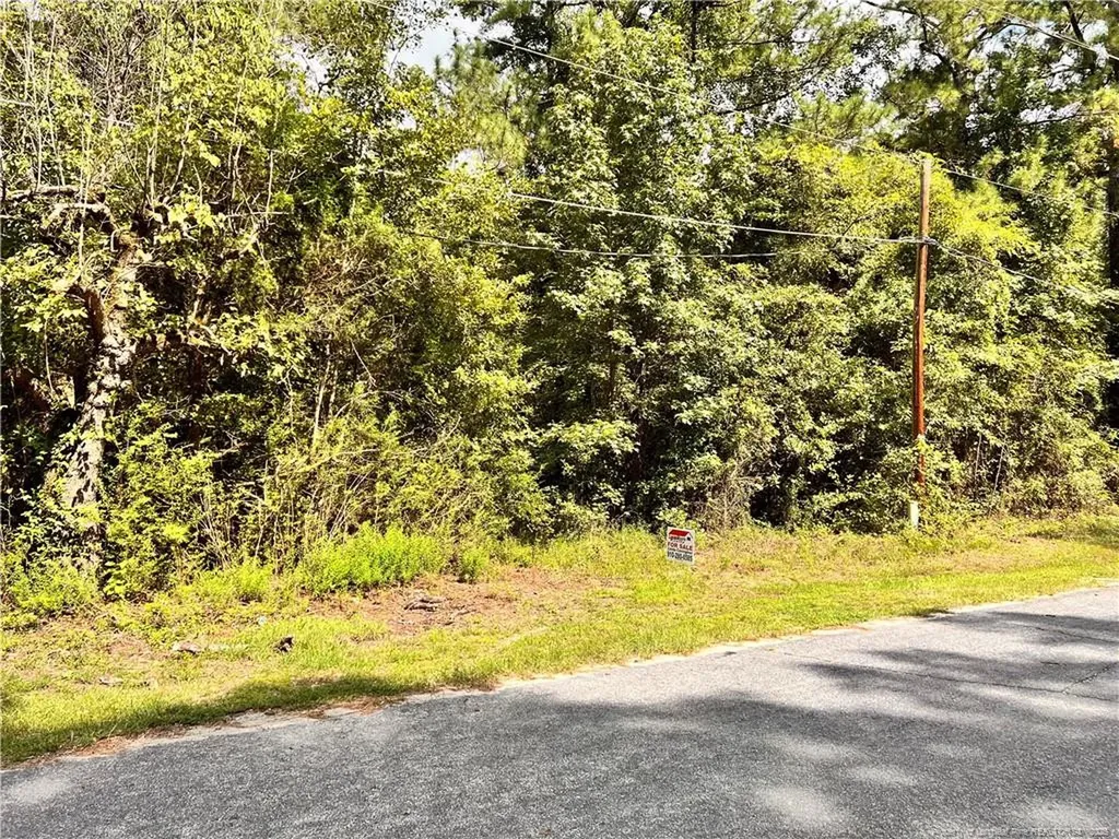 8061 S Green Acres Road Laurinburg NC 28352