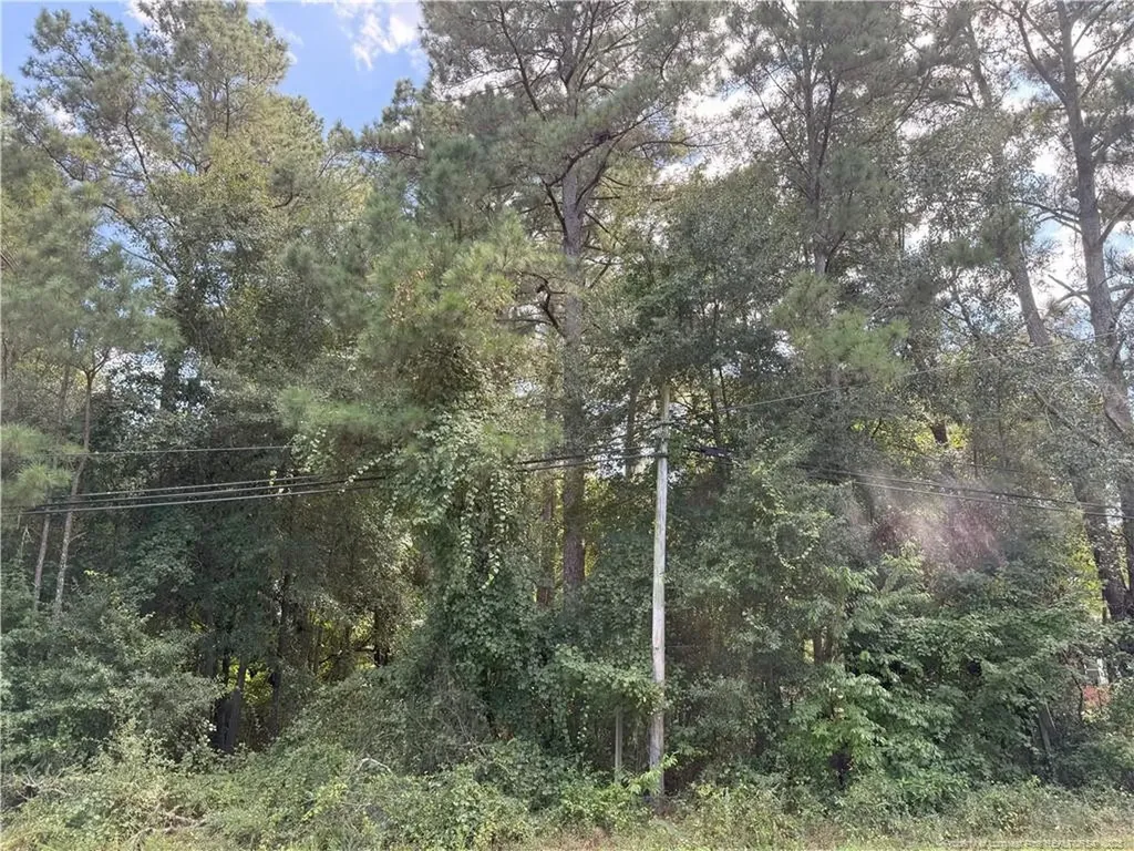 Lot 3 E Williams Street Autryville NC 28318
