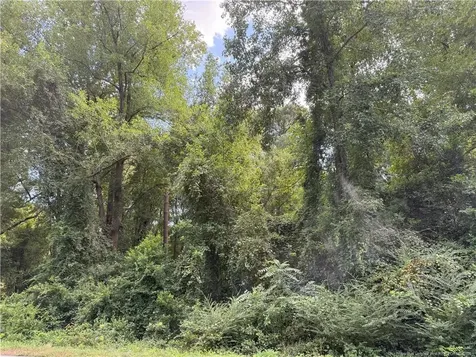 Lot 3 E Williams Street Autryville NC 28318
