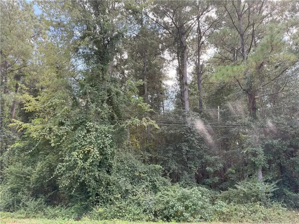 Lot 2 E Williams Street Autryville NC 28318
