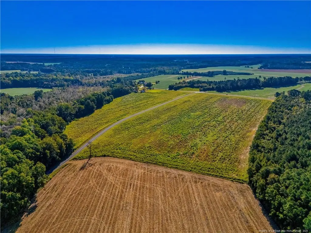 Lot 3 Daniel Mcleod Road Red Springs NC 28377