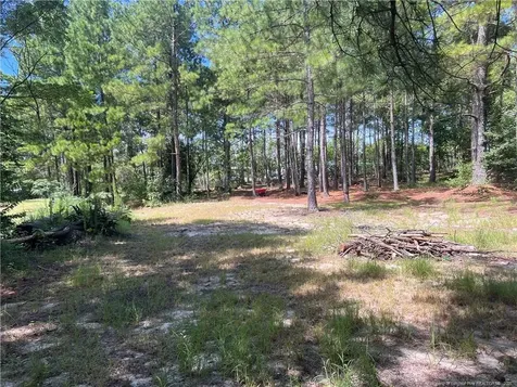 161 & 195 Ellington Drive Raeford NC 28376