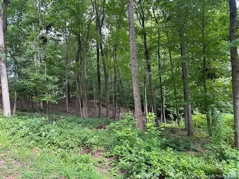 162 Woodwedge Way Sanford NC 27332